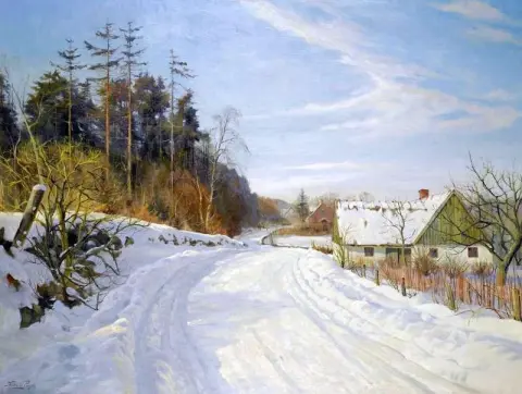 Met sneeuw bedekt landschap