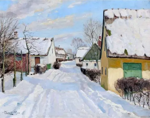 Winterdag In Een Dorp