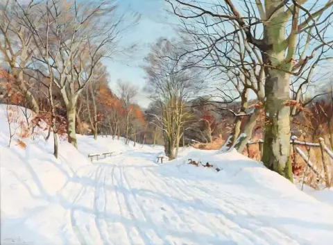 Winterlandschap in Raadvad