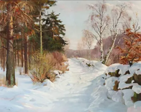 Winterlandschap met een met sneeuw bedekt bospad