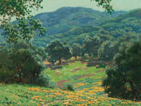 Wildflowers In Bloom