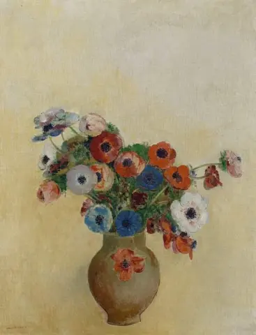 شقائق النعمان 1904