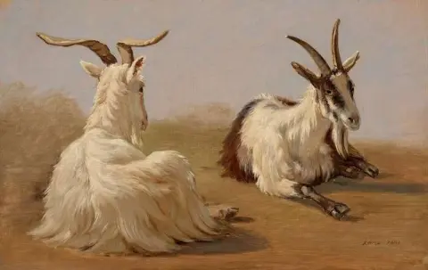 دراسة عنزتين 1841