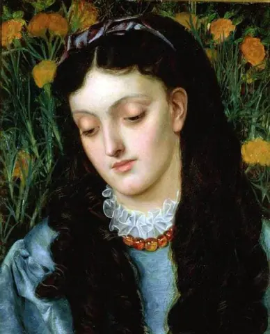 Den vackra väggblomman