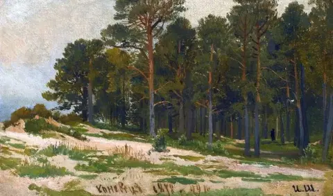 Kiefernwald 1872