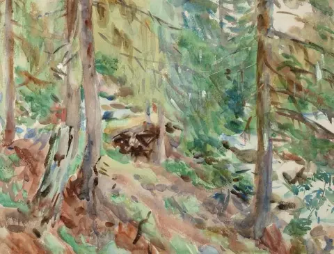 Uma cena de floresta por volta de 1907