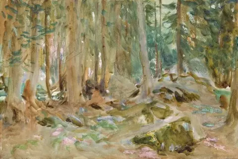 Pine Woods Purtud Ca. 1907