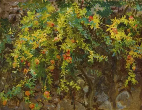 Granatäpfel Mallorca 1908