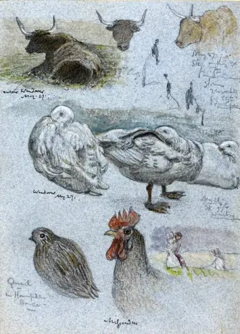 Recortes de cadernos de desenho 1
