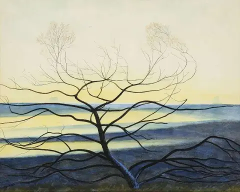 겨울 Hautes Fagnes Ca. 1940의 나무 실루엣