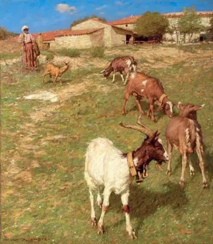 Provencal Farm