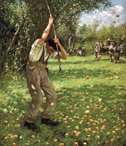 Вытряхивание яблок из сидра, 1909 год.