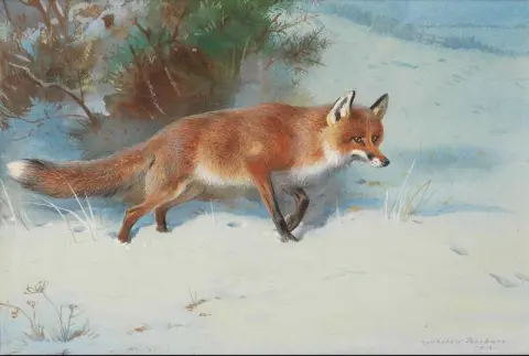 Vinterspår 1913