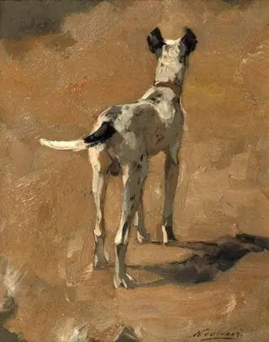Studio di un cane