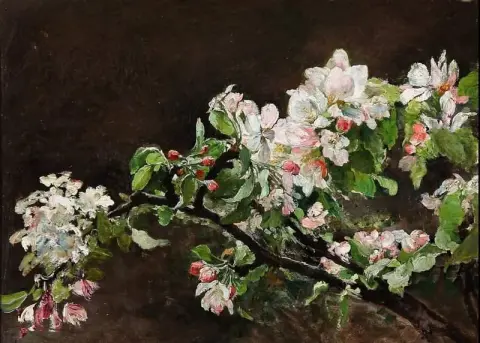 Flor de maçã