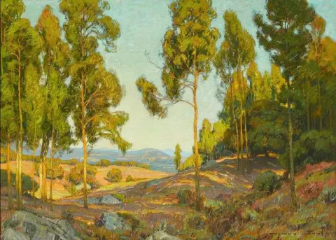 In The Shadow Of The Grove