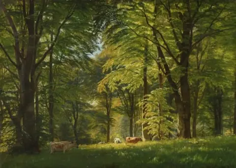 Fra Skogen nær Wrangsgaarde Sør-Sjælland
