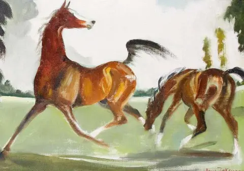 Hest Og Føll