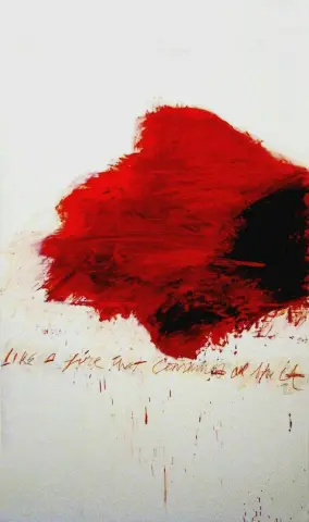 Cy Twombly als een vuur dat alles verteert