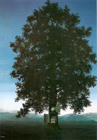 Árbol solitario