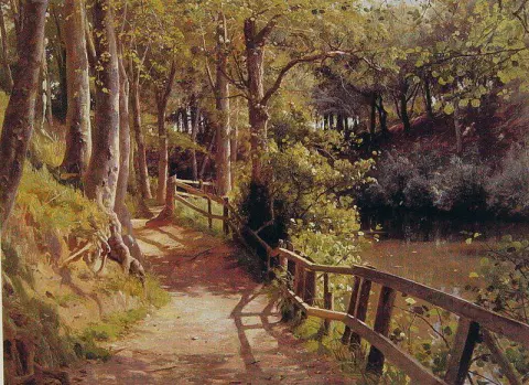 Der Waldweg