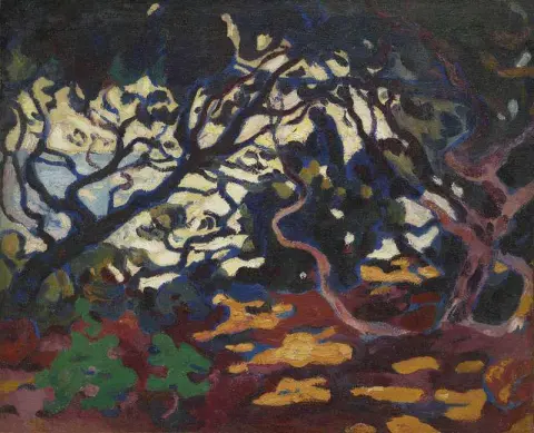 Furutrær ved havet i sør ca. 1904