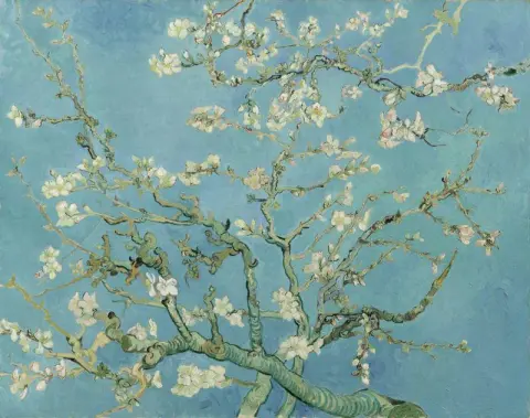 Mandorlo in fiore
