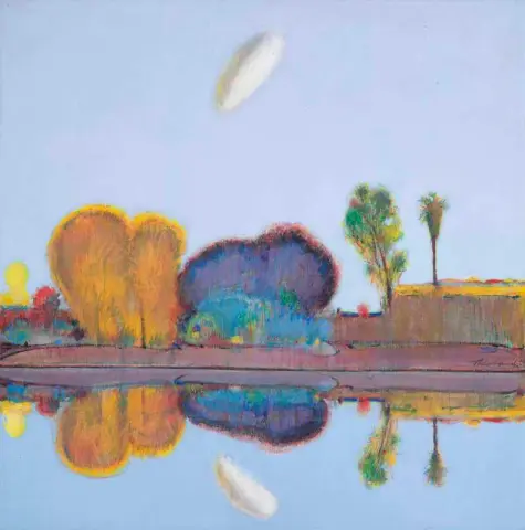 Paesaggio riflesso